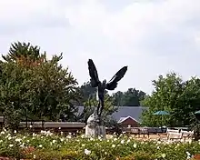 The Aviator, December 2005