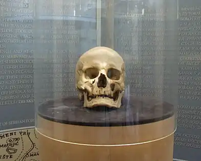 Skull that is said to have belonged to Stevan Sinđelić