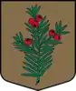 Coat of arms of Īve Parish
