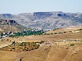 Şirinevler neighborhood