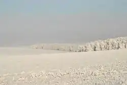 Blagodarnovsky reserve, Tashlinsky District