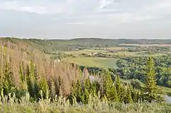 Landscape in Urzhumsky District