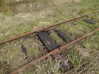 750&nbsp;mm gauge railways of Zaplyusye's peat company