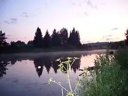 A pond in the village of Kolyushevo in Zavyalovsky District