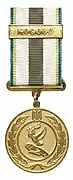 Peacekeeping Medal
