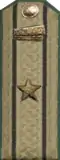 погоны мпс 1943