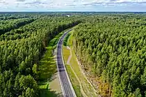 The road passes through a forest near Priozersk.