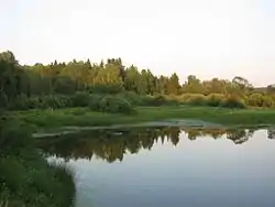 Tebza River, Buysky District