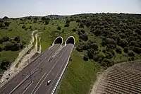 Cross-Israel Highway