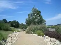 Alona Park, "Ancient Water"