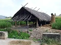 Shed for making jaggery