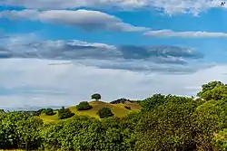 Vashlovani Strict Nature Reserve