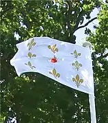 Reiwa flag (令和) (真心, magokoro).