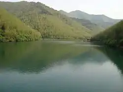 Nanshan bamboo forest