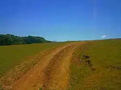 Krasnolesye, Nesterovsky District