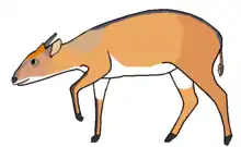 Drawing of brown bovid