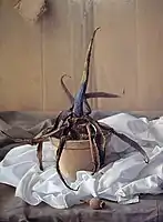 Still Life with Cactus, 1997, oil painting on panel, 60x45 cm, 1997