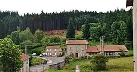 A general view of Saint-Nicolas-des-Biefs