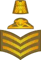 Staff sergeant(Army of Malta)