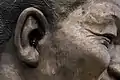 The rabbit in the Nelson Mandela statue's ear