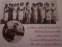 King Prajadhipok following his coronation day, surrounded by the court ladies carrying his regalia and what is today regarded as a Thai cat, the cat symbolises 'domesticity'.