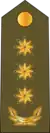 Polkovnik(Azerbaijani Land Forces)