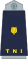 Indonesian Marine Corps