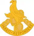 16th Aviation Battalion"Parati-Respondere"(Ready to Respond)