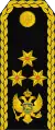 Vice admiral(Montenegrin Navy)