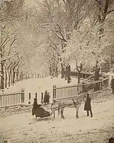 Boston Common, c. 1875