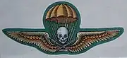 Royal Hungarian Army Gold Sawned Parachutist Badge for officers