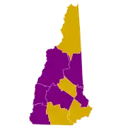 Results of New Hampshire's primary