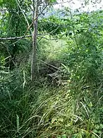 In Yacheon-ri, Hwaseong.mw-parser-output .geo-default,.mw-parser-output .geo-dms,.mw-parser-output .geo-dec{display:inline}.mw-parser-output .geo-nondefault,.mw-parser-output .geo-multi-punct{display:none}.mw-parser-output .longitude,.mw-parser-output .latitude{white-space:nowrap}37°14′51″N 126°54′58″E﻿ / ﻿37.24750°N 126.91611°E﻿ / 37.24750; 126.91611