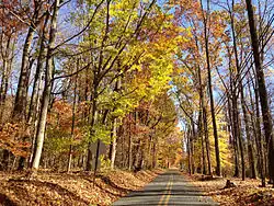View eastward along Woosamonsa Road