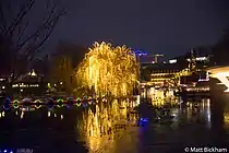 A view of the illuminated gardens on a December night