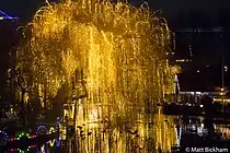 Tivoli Gardens lake tree