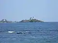 Cape Neddick Lighthouse from York Beach, 2016