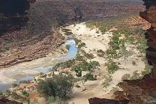 View through Nature's Window
