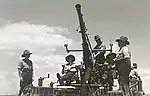 Gunners of 651st Light Anti-aircraft Battery, Volunteer Defence Corps training on Bofors gun at Fort Lytton 1944