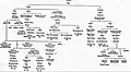 A Genealogical table of the Bhurgri tribe
