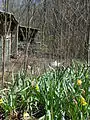Abandoned Cabin1, Elkmont, TN, April 15, 2004