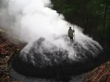 An aerial view of a bearded man in a coat, with a handmade rake, standing on a low, ~10m wide, rounded mound of black earth. The mound is emitting many slender streamers of smoke from all of its surface except the bottommost meter. The steamers merge and stream diagonally away from the viewer on a gentle but chill morning breeze, making an opaques white cloud. The visible background is dark coniferous forest; in the foregroud, a glimps of another pile, this one tightly-packed wood not yet covered with soil.