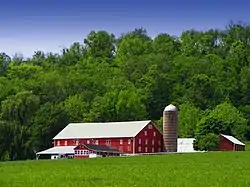 An Adams Township farm