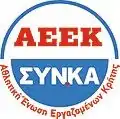 AEEK SYN.KA logo (2017−)