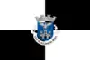Flag of Aguiar da Beira