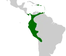 Aiphanes occurs in northwestern South America, south into Bolivia and east to northeastern Venezuela, in Panama and in Trinidad, Puerto Rico and eastern Hispaniola.