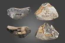 Front and back views of two almost-triangular-shaped stones with a sharp edge running across the bottom side