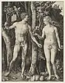 Albrecht Dürer, Adam and Eve, c. 1504