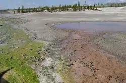Green and red algae ground along the banks.