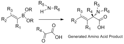 Alpha amino acid synthesis